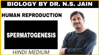 Spermatogenesis Human Reproduction  Hindi Medium [upl. by Guss]