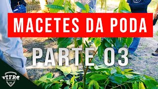 CONTEÚDO EXCLUSIVO  OS MACETES DA PODA  PARTE 03 [upl. by Otrebliw639]