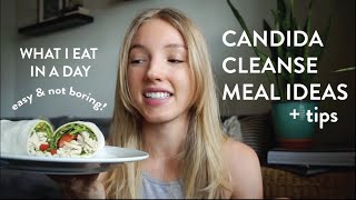 Candida Cleanse Meals  What I eat in a day  Candida Overgrowth [upl. by Nairb404]