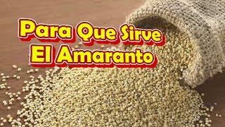 Para Que Sirve El Amaranto  Propiedades Beneficios Y Contraindicaciones Del Amaranto [upl. by Eupheemia]