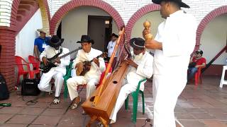 Compasses Mejor Conjunto Festival San Martin de los Llanos 2013 [upl. by Nivrad]