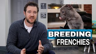 How to Breed French Bulldogs  Breeding Process [upl. by Nabru]