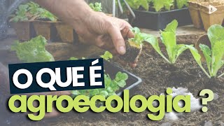 O QUE É AGROECOLOGIA [upl. by Gosser802]