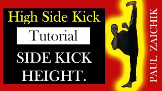 SIDE KICK TUTORIAL Training High Kick Side Kick Powerful Fast Side Roundhouse and Hook Kick [upl. by Virgie891]