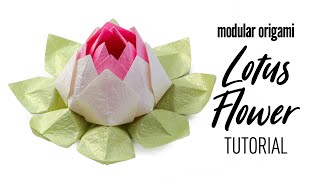 Modular Origami Lotus Flower Tutorial  DIY  Paper Kawaii [upl. by Brant]