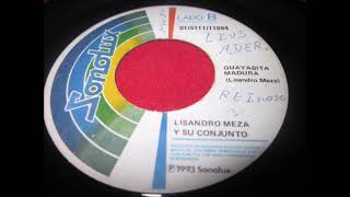 Guayabita madura LISANDRO MEZA Y SU CONJUNTO [upl. by Eanod]