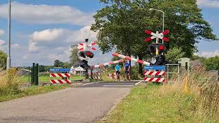 Spoorwegovergang Varsseveld  Dutch Railroad Crossing [upl. by Alanson163]