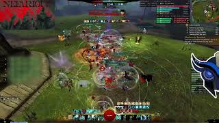 GW2 WvW  Outnumbered Zerg Fights  Support Firebrand [upl. by Esenej]