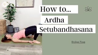 Ardha Setubandhasana Bridge Pose [upl. by Notlok418]