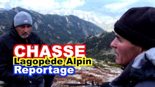 CHASSE  Lagopède Alpin des Pyrénées Orientales Lagopus muta pyrenaica [upl. by Atsiuqal]