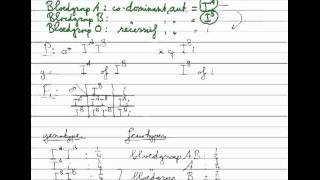 Erfelijkheid  Monohybride kruising codominant [upl. by Dnaloy64]