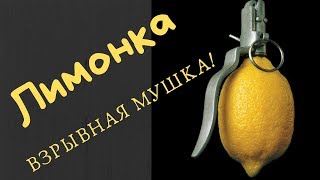 Нахлыст и вязание мушек с Данилычем  Мушка лимонка [upl. by Ursi613]