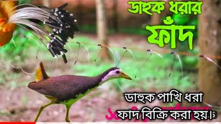 ডাহুক পাখি ধরার ফাদ তৈরীর পদ্ধতি।How to make Gallinule bird trapdahuk pakhir fadজাংগীফাদshort [upl. by Chesney]