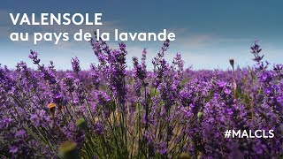 Valensole  au pays de la lavande [upl. by Sello]