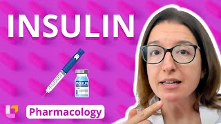 Insulin  Pharmacology  Endocrine System  LevelUpRN [upl. by Itraa]