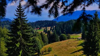 Romania is beautiful  Predeal  Cabanele Poiana Secuilor și 3 Brazi 🇷🇴⛰️🏞️ [upl. by Setarcos]