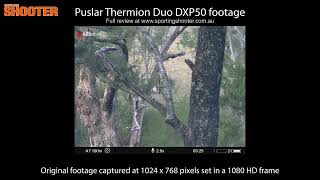 Pulsar Thermion Duo DXP50 footage samples [upl. by Htes110]