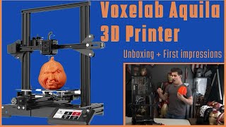 Voxelab Aquila 3D Printer  Quick Review  The Ender3 Killer [upl. by Georgiana]