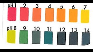 pH Test of stool Sample [upl. by Eixel]