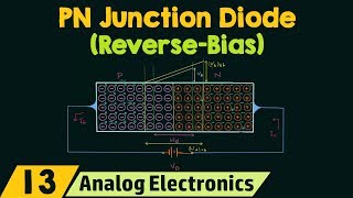 PN Junction Diode ReverseBias Condition [upl. by Eenahc]