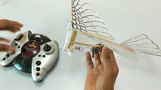 make a flying bird at home  rcornithopter ornithopter [upl. by Siward]