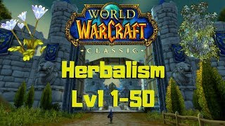 Classic Wow Herbalism Guide for Beginners [upl. by Essined]