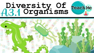 A31  Diversity Of Organisms  IB Biology SLHL [upl. by Vasyuta431]