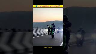 Crazy Whilee on Zx10r 😨😱🤯shorts viral whilee video trending jannustuntz valourrider [upl. by Akinwahs]