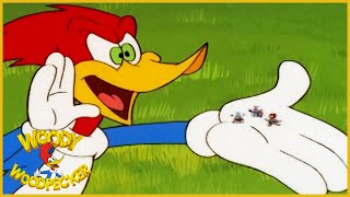 Woody Woodpecker Show  Party Animal  Full Episode  Videos For Kids [upl. by Zarah]