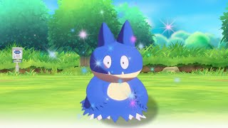 Shiny Munchlax is cool Change my mind Pokemon Legends Arceus shorts [upl. by Akiem]