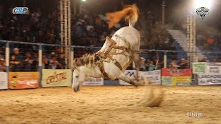 Rodeio de Santa Albertina 2018  FINAL EM CUTIANO [upl. by Uzial]