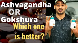 Ashvagandha or Gokshura ke fayde Which is better for health  Fitness  bodybuilding hindi 2020 [upl. by Ari]