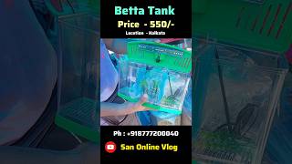 Betta Tank Price Update shorts aquarium youtubeshorts [upl. by Rankin]