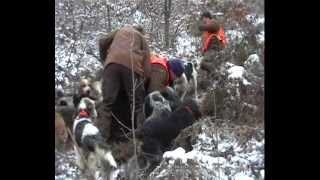 Chasse sanglier tir dans la neige [upl. by Enajyram]