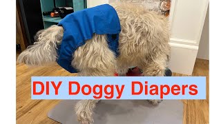 DIY Dog Diapers urinary incontinence Its a game changer [upl. by Licec]