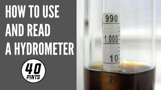 How to use and read a hydrometer for beer or home brew [upl. by Jenette593]