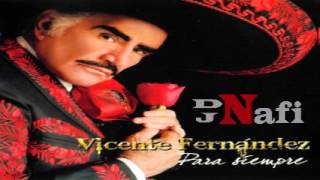 Para Siempre Fuego en la Sangre Vicente Fernandez Remix by Dj Nafi [upl. by Hnah]