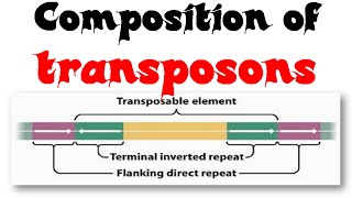 Composition of transposons [upl. by Noreen314]