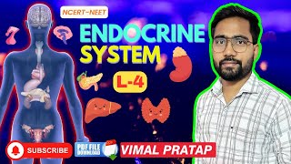 ENDOCRINE SYSTEM L4  NCERT Class 11NEET Zoology  VIMAL PRATAP [upl. by Nnylarak]