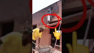 🤸‍♂️❌🦵👇🤦‍♂️😭 Fall incident  unsafe platform  Bad scaffolding fallfromheight shorts [upl. by Loutitia]