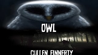 Owls  Cullen Finnerty [upl. by Pillsbury]