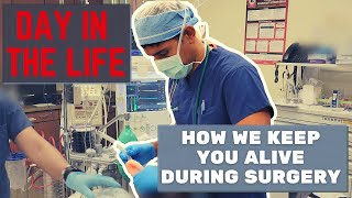 Day in the Life of a StanfordHarvardTrained Anesthesiologist How We Keep You Alive During Surgery [upl. by Marko]