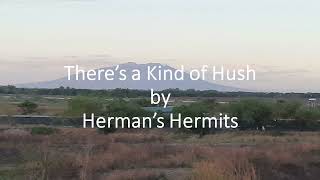 Hermans Hermits  Theres a Kind of Hush [upl. by Alyce295]