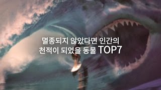 멸종되지 않았다면 인간의 천적이 되었을 동물 TOP 7 [upl. by Woothen]