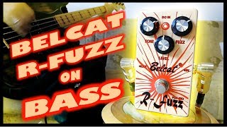 Belcat FUZ510 RFuzz Bass Demo [upl. by Leban]