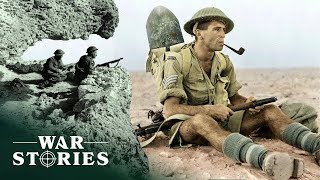 The North African Campaign The Dangerous Conditions Of Desert Warfare  Battlezone  War Stories [upl. by Aran610]