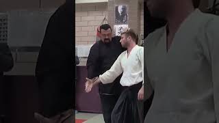 Steven Seagal Aikido Techniques  Aikido for real fight [upl. by Nosaj801]