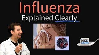 Influenza Flu Explained Clearly  Diagnosis Vaccine Treatment Pathology [upl. by Oicnedurp821]