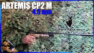 CP2 M Artémis 45 mm Le combo PistoletCarabine parfait [upl. by Nikolia]