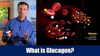 What is Glucagon – Dr Berg [upl. by Alyson674]